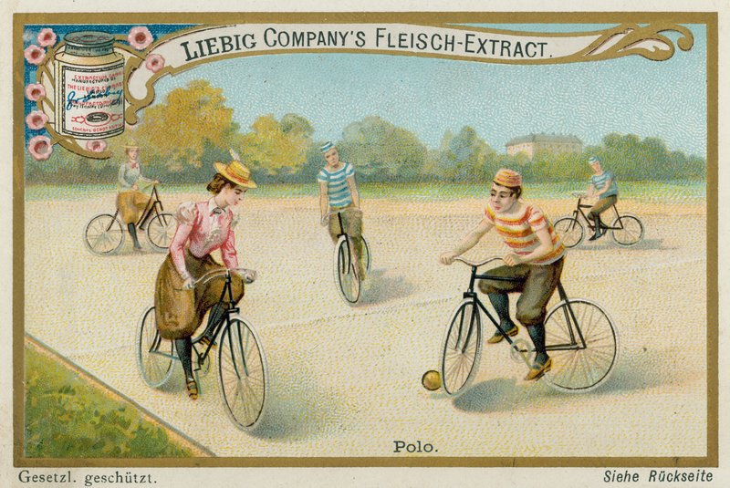 Polo tekijältä European School