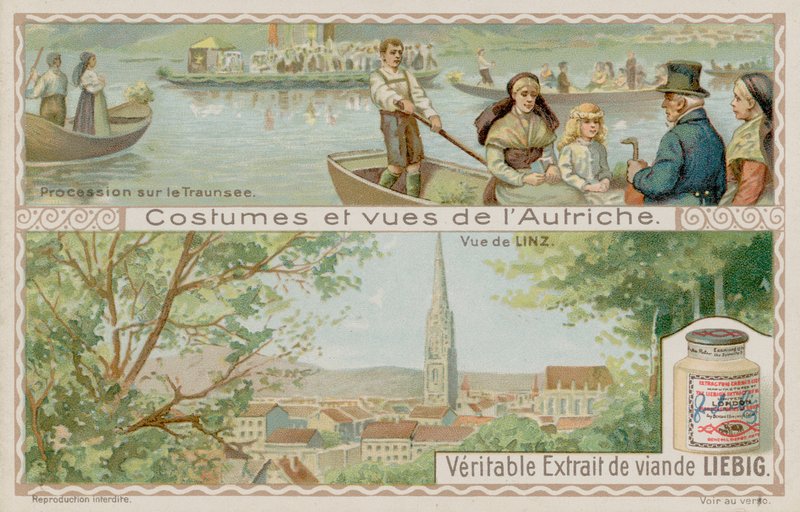 Veneiden kulkue Traunsee-järvellä ja näkymä Linziin tekijältä European School