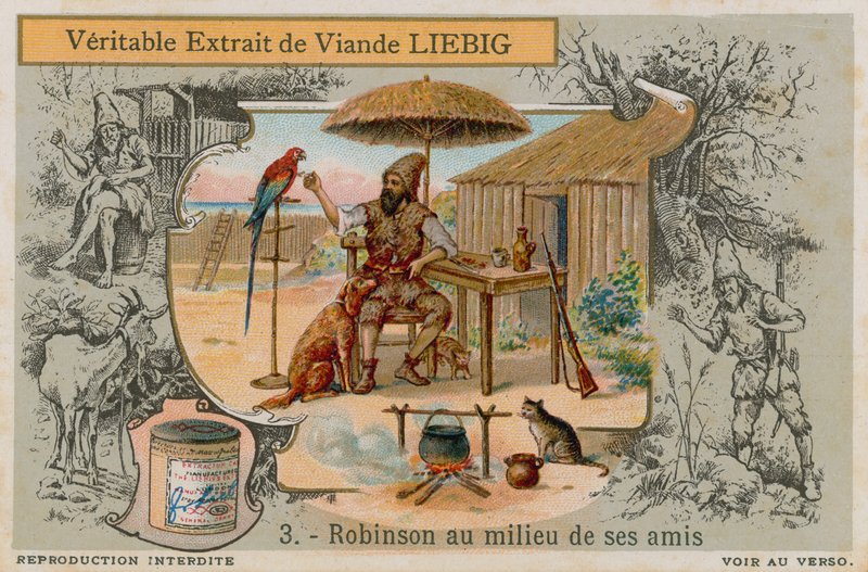 Robinson Crusoe kaikkien ystäviensä kanssa tekijältä European School