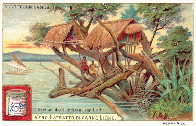 Samoalainen puutalo (chromolitho) tekijältä European School