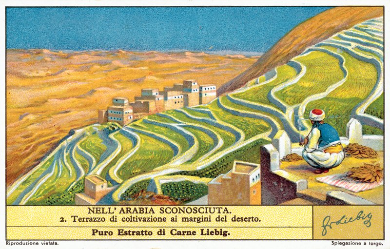 Terassiviljely aavikon reunalla (chromolitho) tekijältä European School