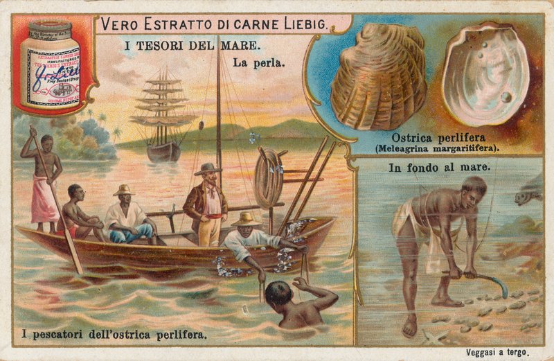 Meren aarteet, Liebig-kortti, 1900-luvun alku (kromo) tekijältä European School