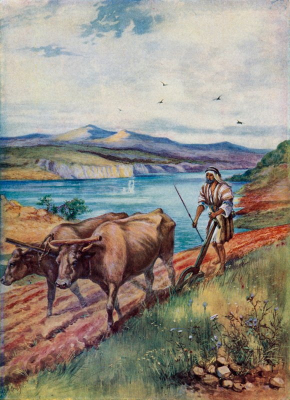 Kyntö Jeesuksen maassa (väri litho) tekijältä Evelyn Stuart Hardy