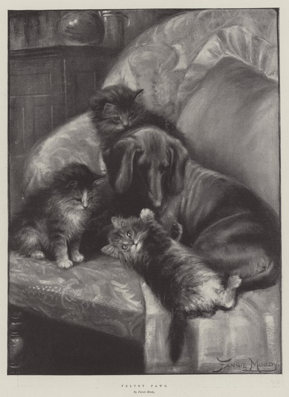 Velvet Paws tekijältä Fannie Moody
