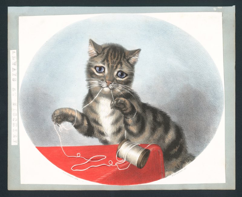 Always at Mischief - viktoriaaninen onnittelukortti (chromolitho) tekijältä Fanny Corbaux