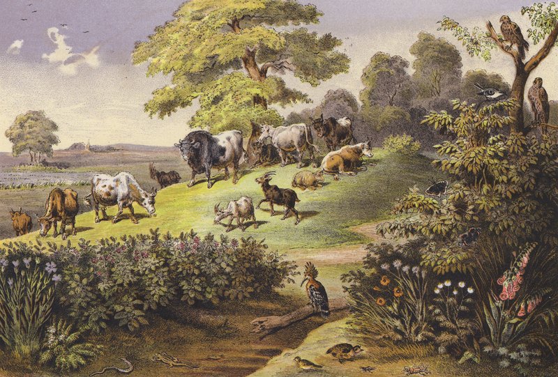 heinäkuu (värillinen litografia) tekijältä Ferdinand Karl Klimsch