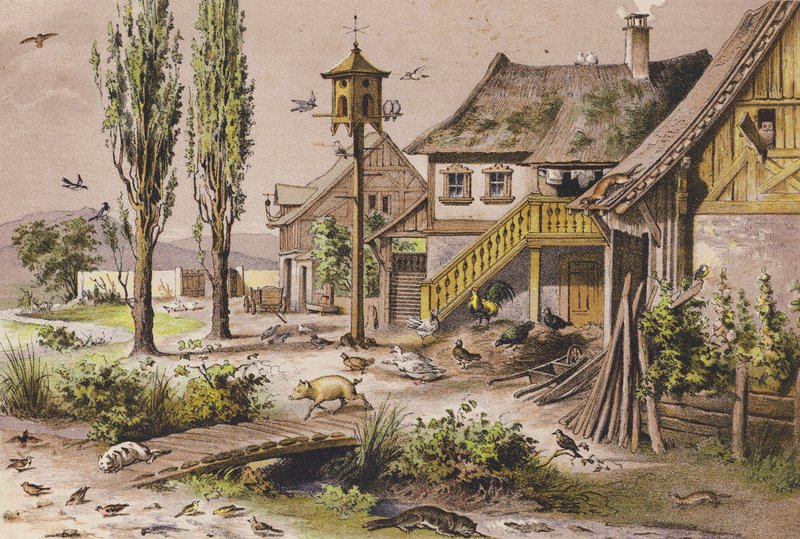 Marraskuu (värilitografia) tekijältä Ferdinand Karl Klimsch