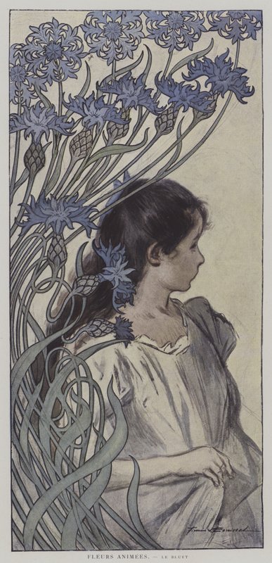 Fleurs Animees. Le Bluet. (Animaatiokukat: ruiskaunokki) (värilitra) tekijältä Firmin (after) Bouisset