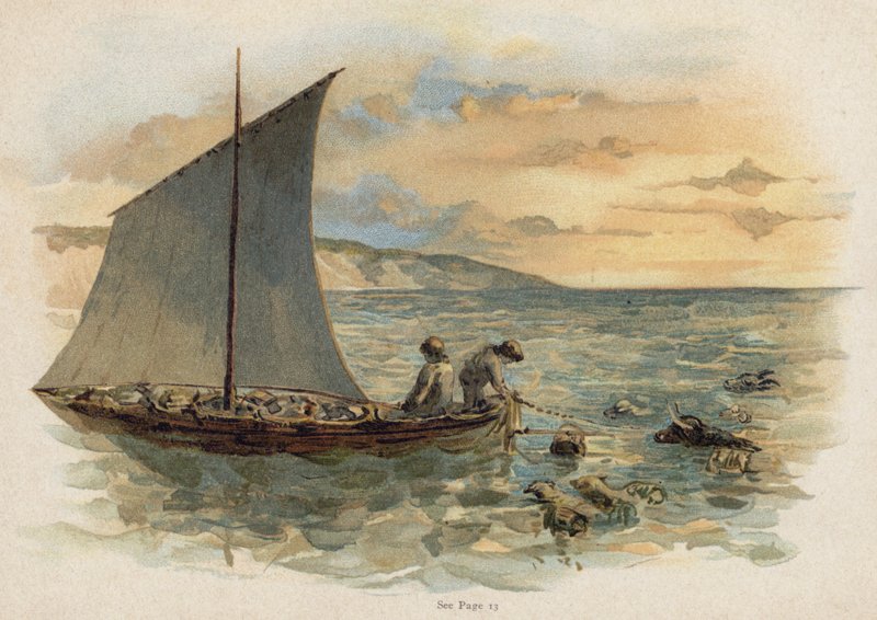 Kohtaus elokuvasta The Swiss Family Robinson: eläinten tuominen hylystä (chromolitho) tekijältä Florence Maplestone