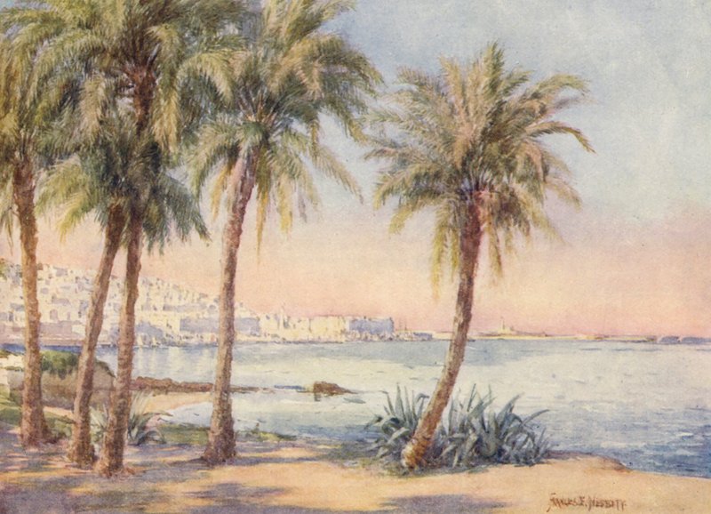 Algiers Jardin d