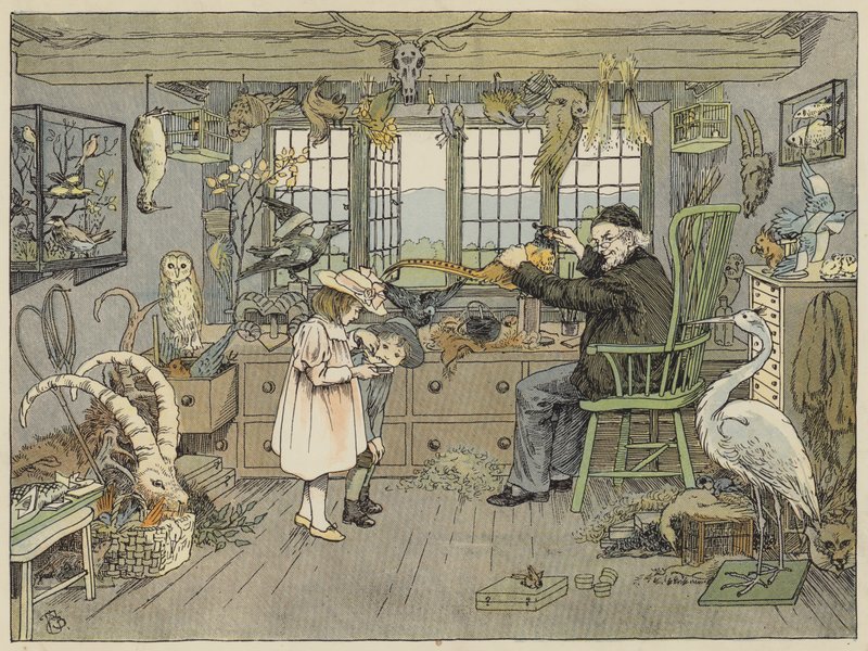 Bird-Stuffer (värilitro) tekijältä Francis Donkin Bedford
