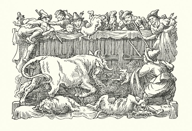 Merrie England: Bull baiting (litografia) tekijältä Francis Donkin Bedford