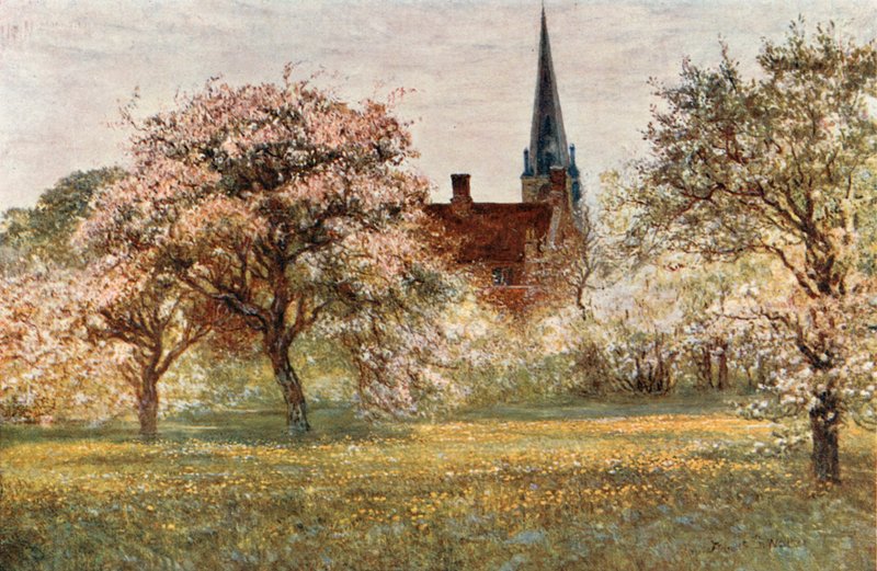 Olney tekijältä Francis S. Walker