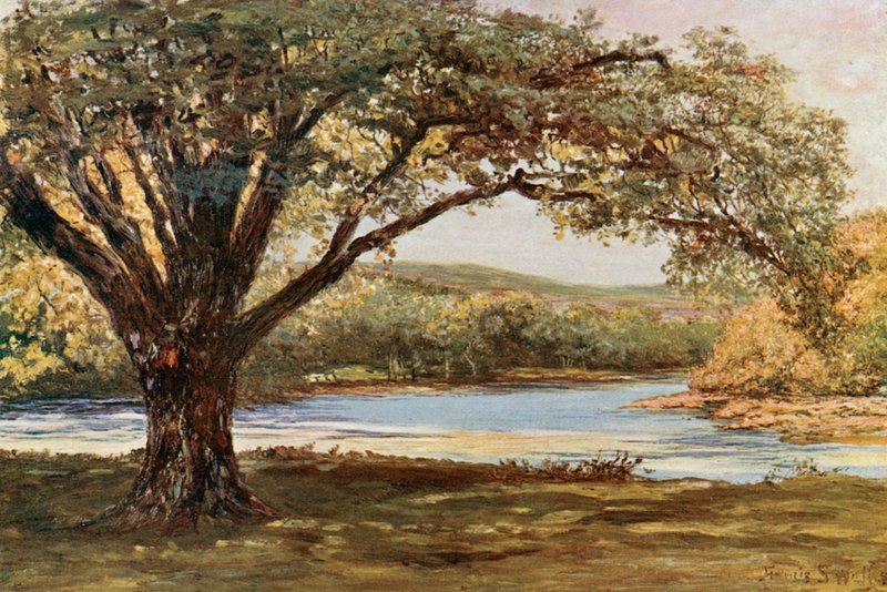 Vale of Avoca tekijältä Francis S. Walker