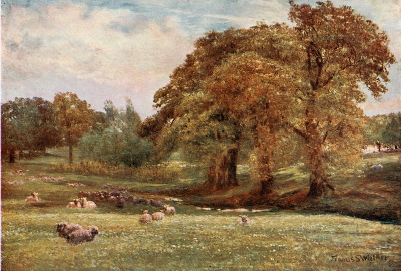 Terveyden Vale tekijältä Francis S. Walker