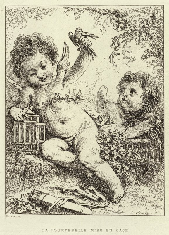 Häkkikyyhky (kaiverrus) tekijältä Francois (after) Boucher