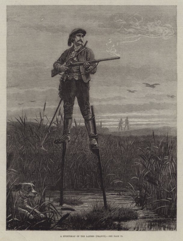 Osavaltioiden urheilija (Ranska) tekijältä Frank Dadd