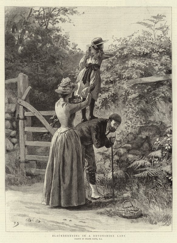 Blackberrying Devonshire Lane -kadulla tekijältä Frank Dadd