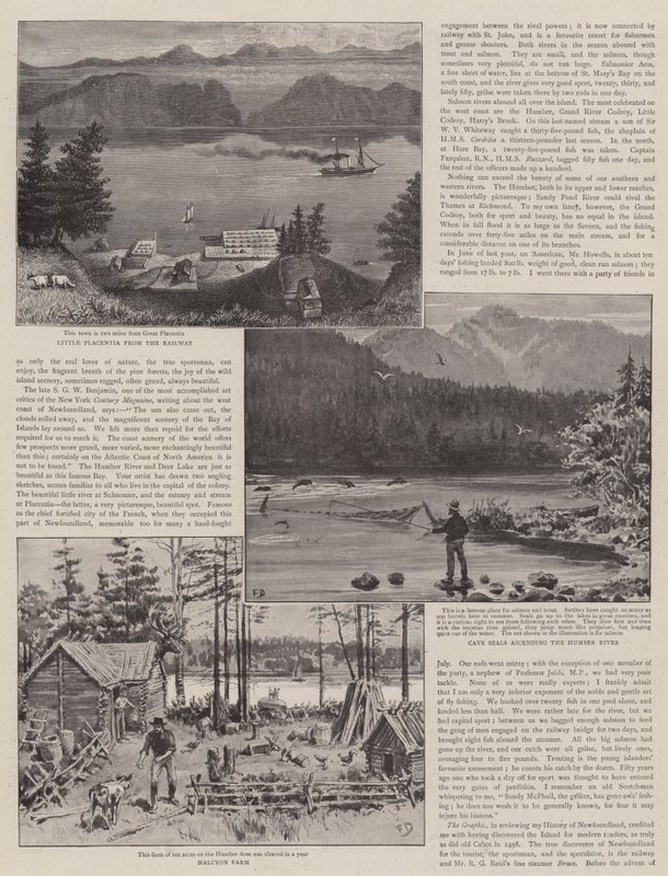 Maanviljely ja urheilu Newfoundlandissa tekijältä Frank Dadd