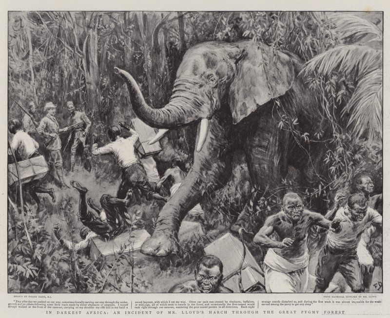Pimeimmässä Afrikassa, herra Lloydin marssi Suuren Pygmy-metsän läpi tekijältä Frank Dadd