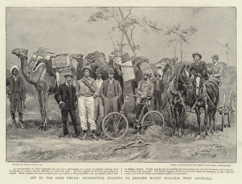 Kultakentille lähtevät etsijät alkavat tutkia Mount Malcolmia Länsi-Australiassa tekijältä Frank Dadd