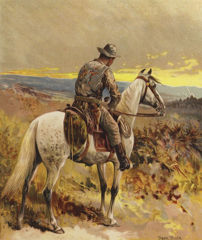 Scout - Pohjois-Amerikka tekijältä Frank Feller