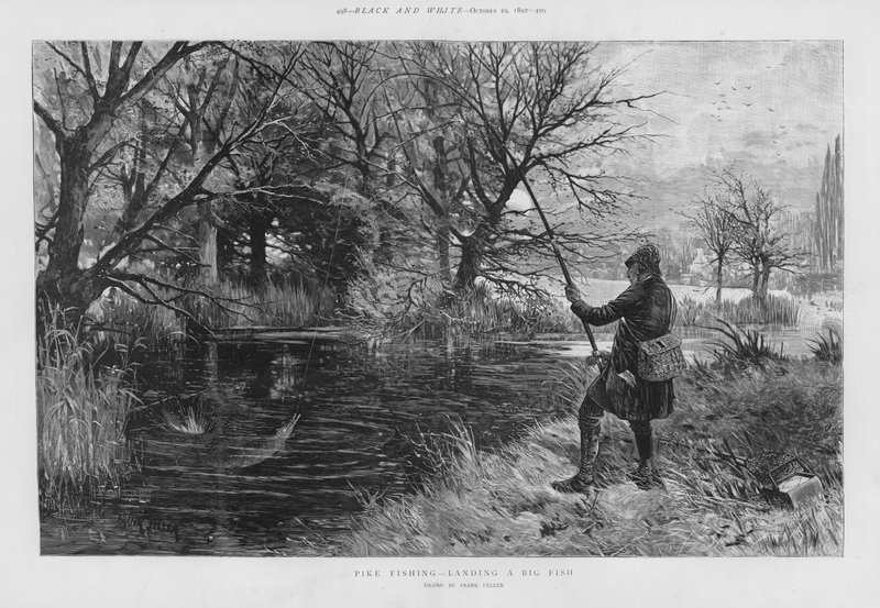 Hauenkalastaja laskemassa ison kalan (litho) tekijältä Frank (after) Feller