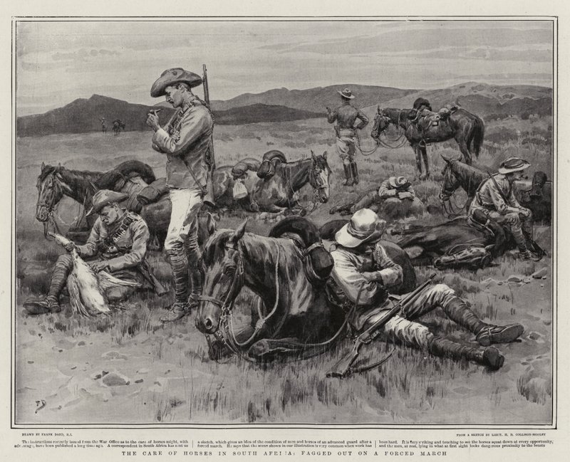 The Care of Horses Etelä-Afrikassa, sekaisin pakotetussa marssissa tekijältä Frank Dadd