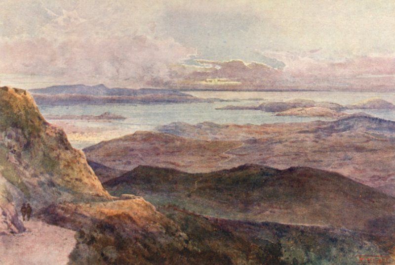 Uusi-Seelanti: Coromandel (värilitra) tekijältä Frank H Wright