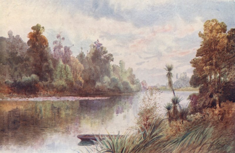 Uusi-Seelanti: Pelorus-joella (värilitografia). tekijältä Frank H Wright