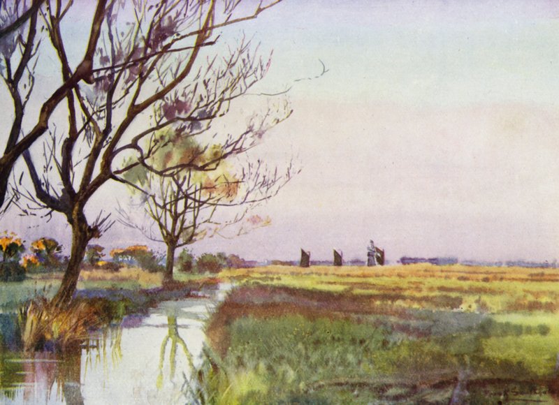 Norfolk Broads: Marshland lähellä Bartonia (väri litho) tekijältä Frank Southgate