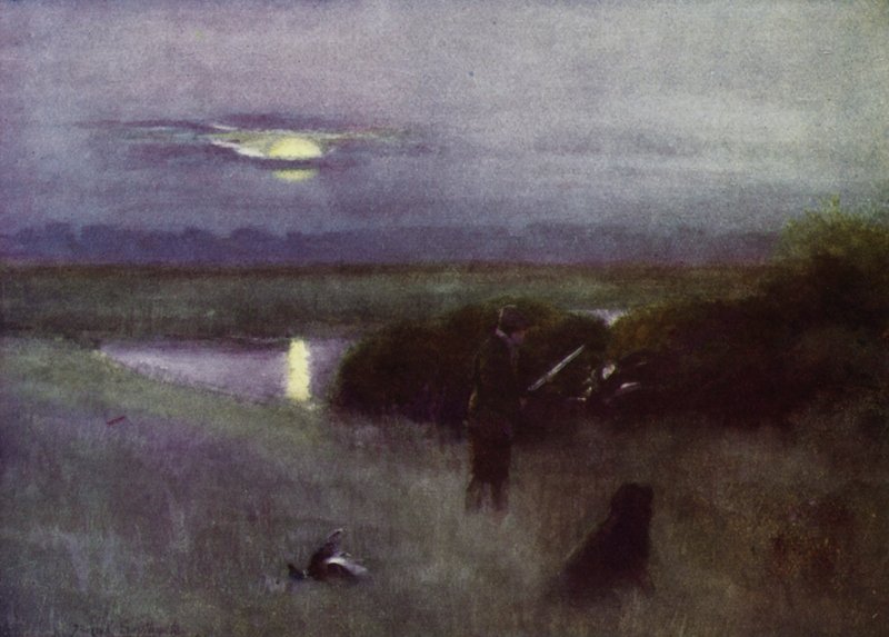 Norfolk Broads: Moonrise, at Flight (väri litho) tekijältä Frank Southgate