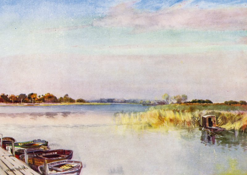 Norfolk Broads: Ormesby Broad, Autumn (väri litho) tekijältä Frank Southgate
