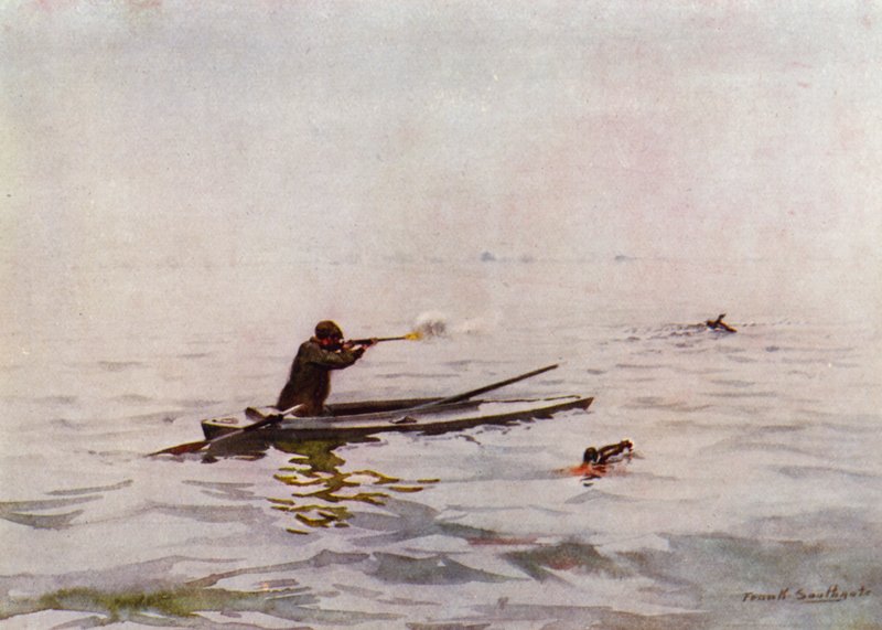 Norfolk Broads: Punt-Gunning on Breydon (värilitho) tekijältä Frank Southgate