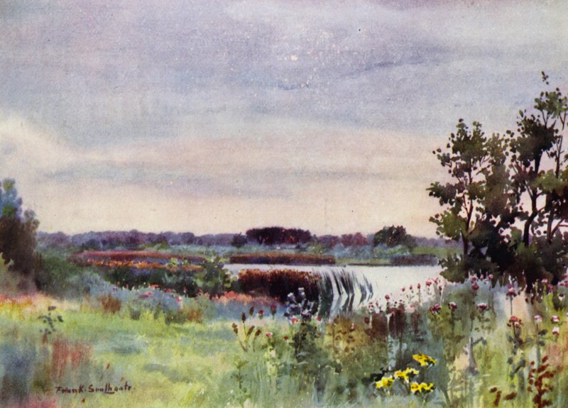 Norfolk Broads: Salhouse Great Broad (väri litho) tekijältä Frank Southgate