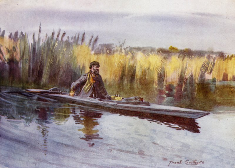 Norfolk Broads: "tieteelliset" täplät Fowl (väri litho) tekijältä Frank Southgate