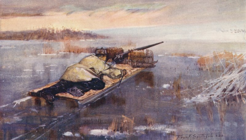 Wild Life in East Anglia: Wild-Fowling with a Stalking Sledge (väriliitossa). tekijältä Frank Southgate
