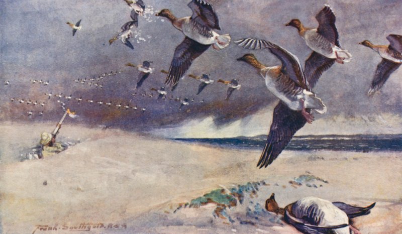 Wild Life in East Anglia: Wild-Goose Shooting (värilitro) tekijältä Frank Southgate