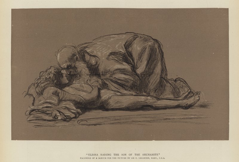 Elisa kasvattaa sunamilaisen pojan pojan tekijältä Frederic Leighton