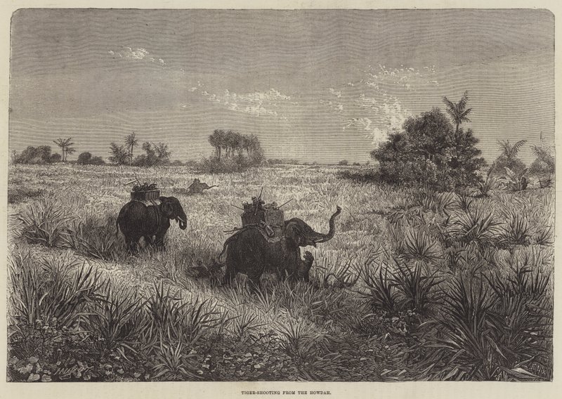 Intia ja Walesin prinssi, Tiger-ammunta Howdasta tekijältä Frederic Theodore Lix