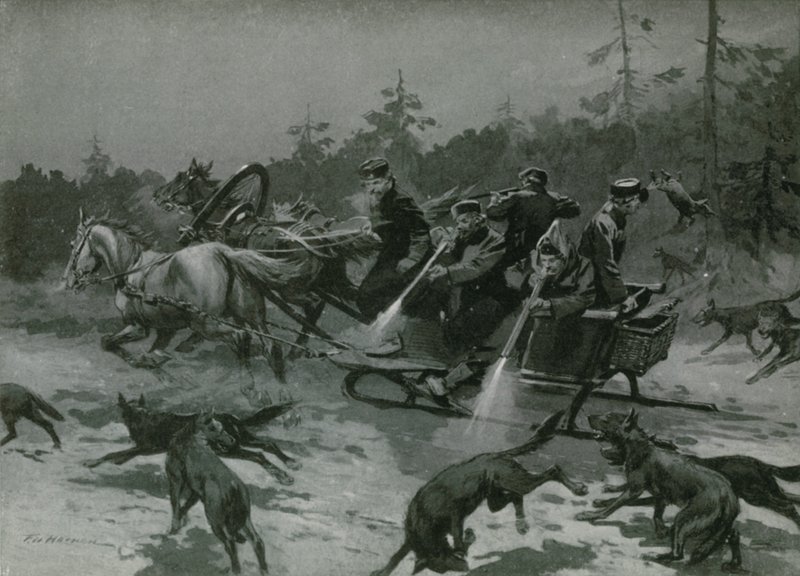 Suden metsästys tekijältä Frederic de Haenen