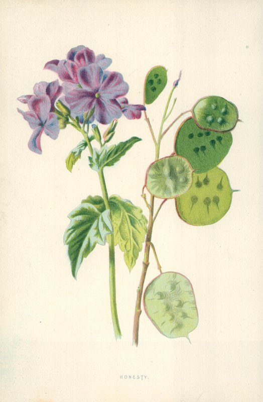 Rehellisyys tekijältä Frederick Edward Hulme