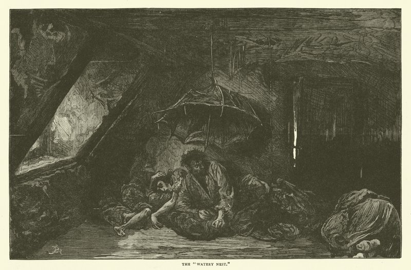 Vetinen pesä tekijältä Frederick L. Bernard