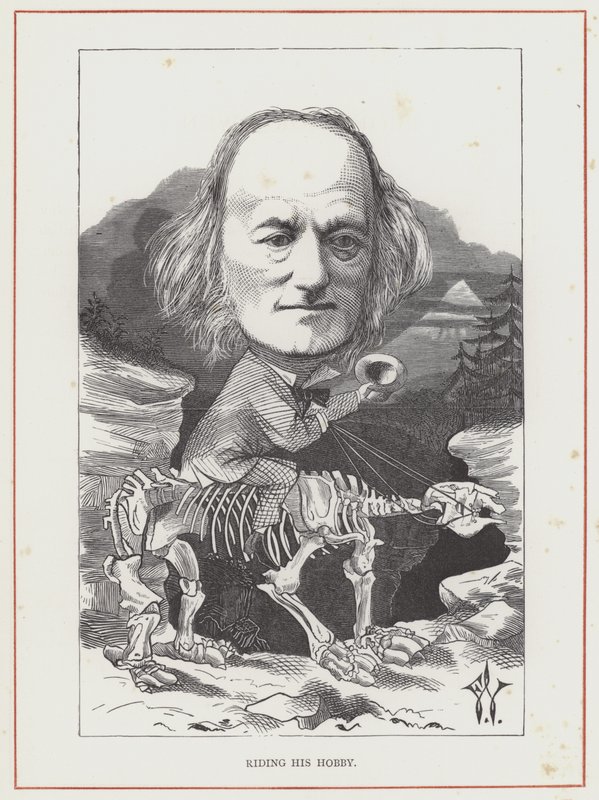 Professori Richard Owen tekijältä Frederick Waddy