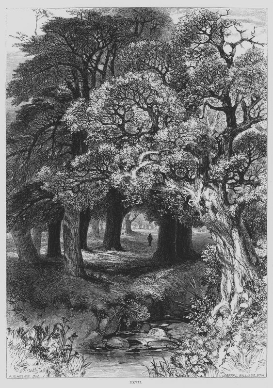 John Milton, Il Penseroso (kaiverrus) tekijältä Frederick William Hulme