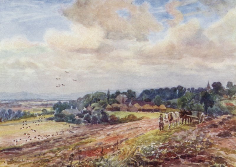 Nälkäinen Grafton tekijältä Frederick William Newton Whitehead