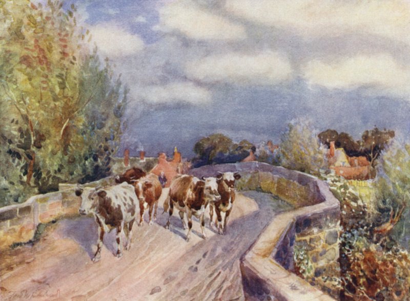 Martonin silta tekijältä Frederick William Newton Whitehead