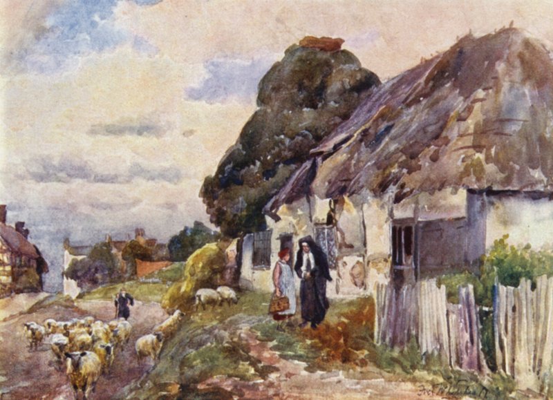 Paavilainen Wixford tekijältä Frederick William Newton Whitehead