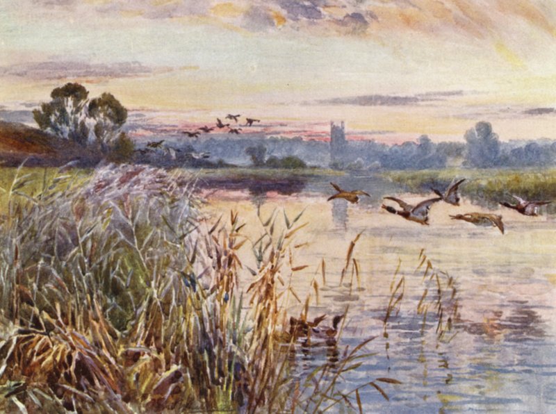 Salford Priors tekijältä Frederick William Newton Whitehead