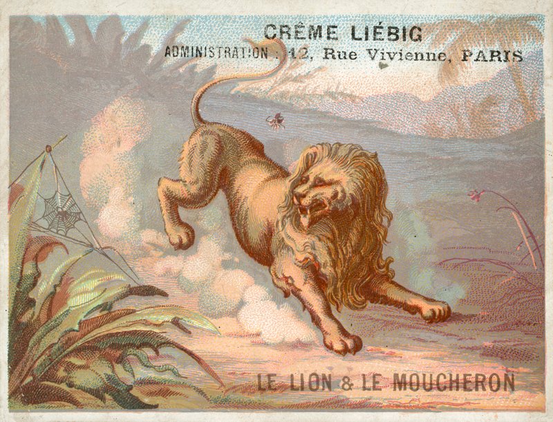 Leijona ja hyttynen tekijältä French School